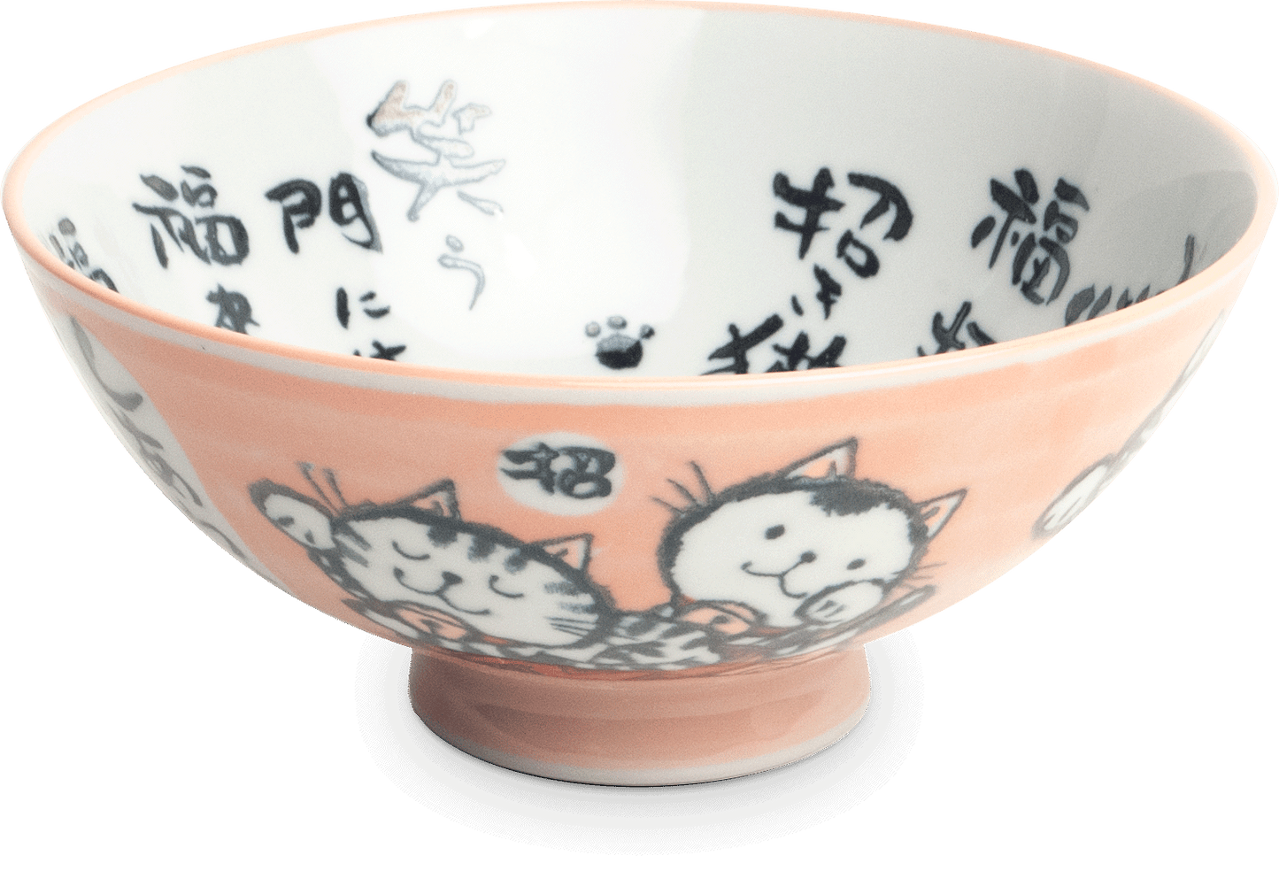 Lucky cat bowl