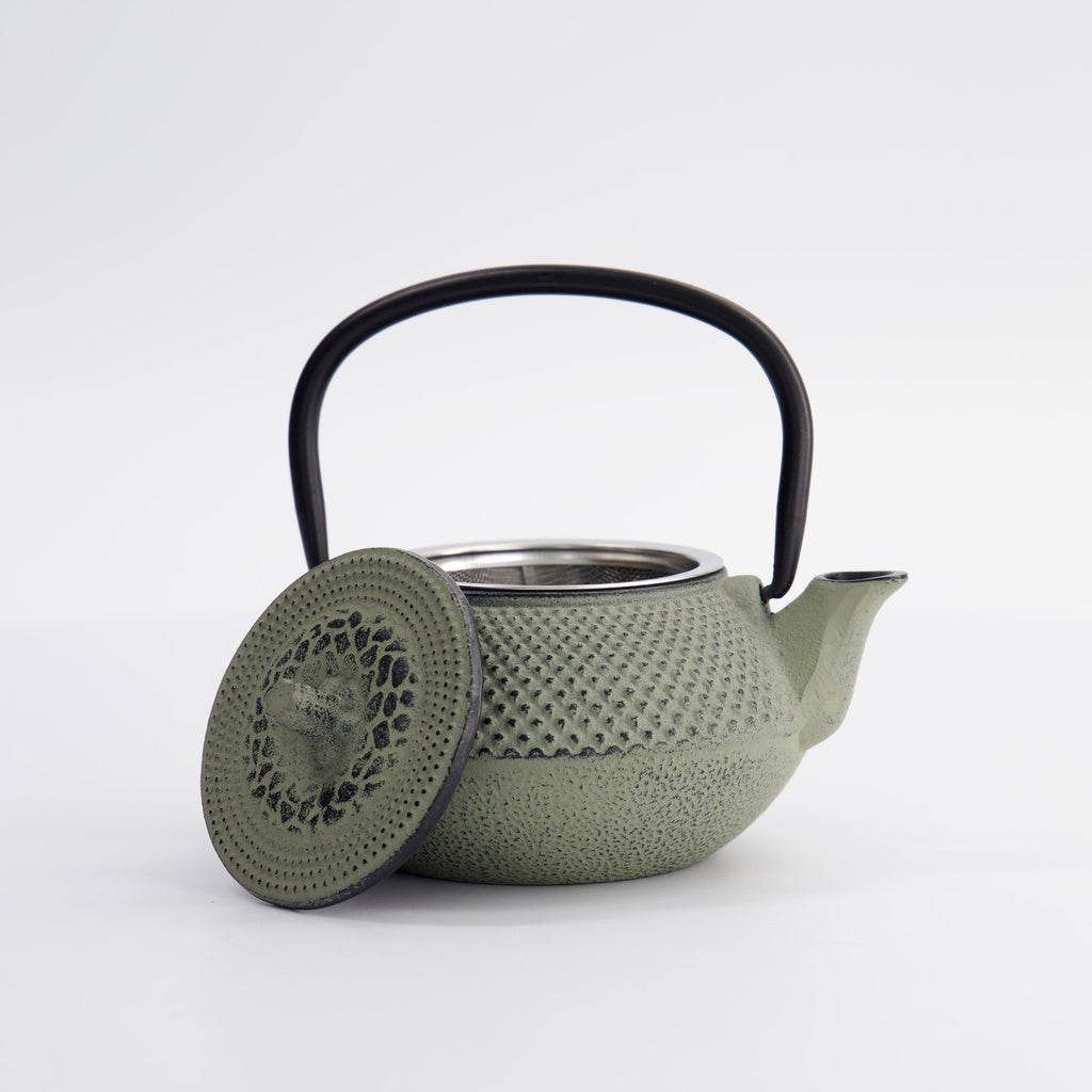 WY Tea Kettle Iron 13.5x11.5x8.5cm Arare 0.35L GREEN