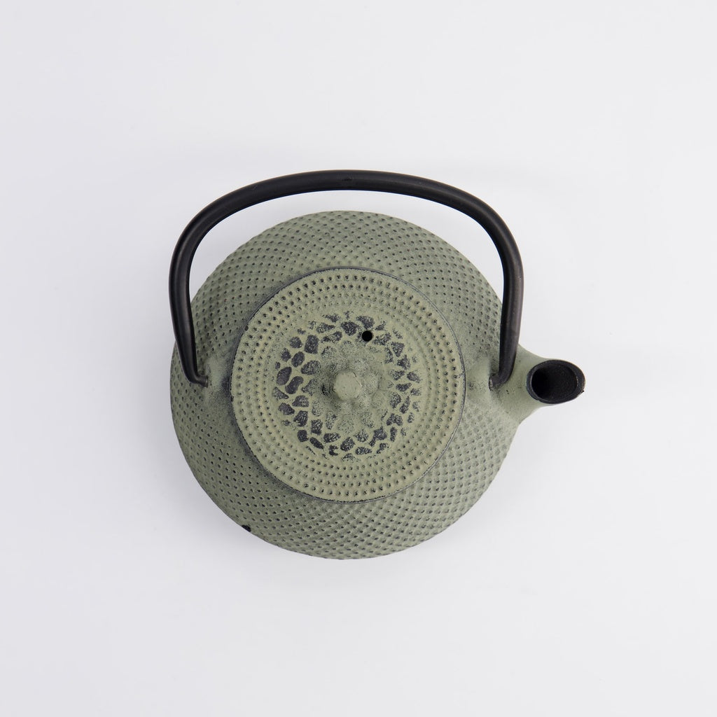 WY Tea Kettle Iron 13.5x11.5x8.5cm Arare 0.35L GREEN