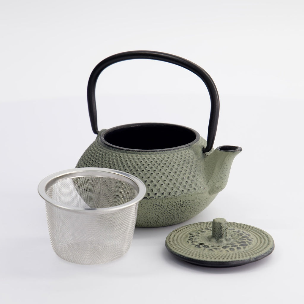 WY Tea Kettle Iron 13.5x11.5x8.5cm Arare 0.35L GREEN