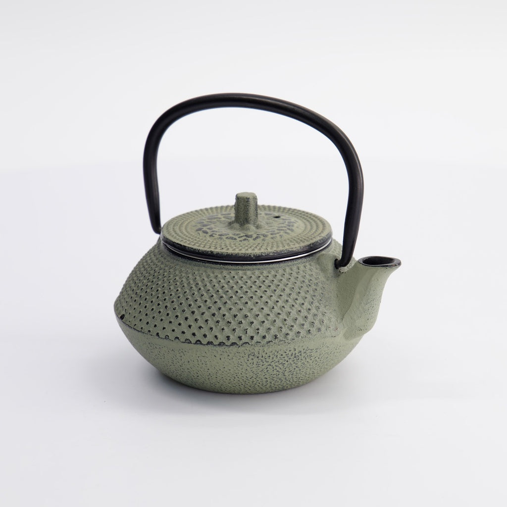 WY Tea Kettle Iron 13.5x11.5x8.5cm Arare 0.35L GREEN