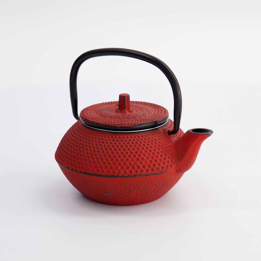 WY Tea Kettle Iron 0.35L red