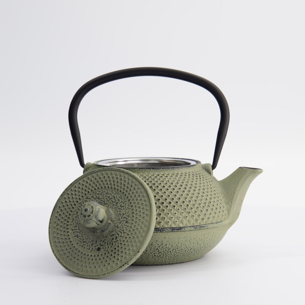 WY Tea Kettle Iron 17.5x15x10cm Arare 0.8L GREEN