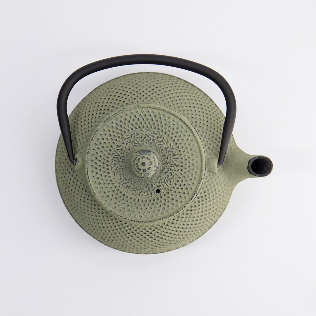WY Tea Kettle Iron 17.5x15x10cm Arare 0.8L GREEN