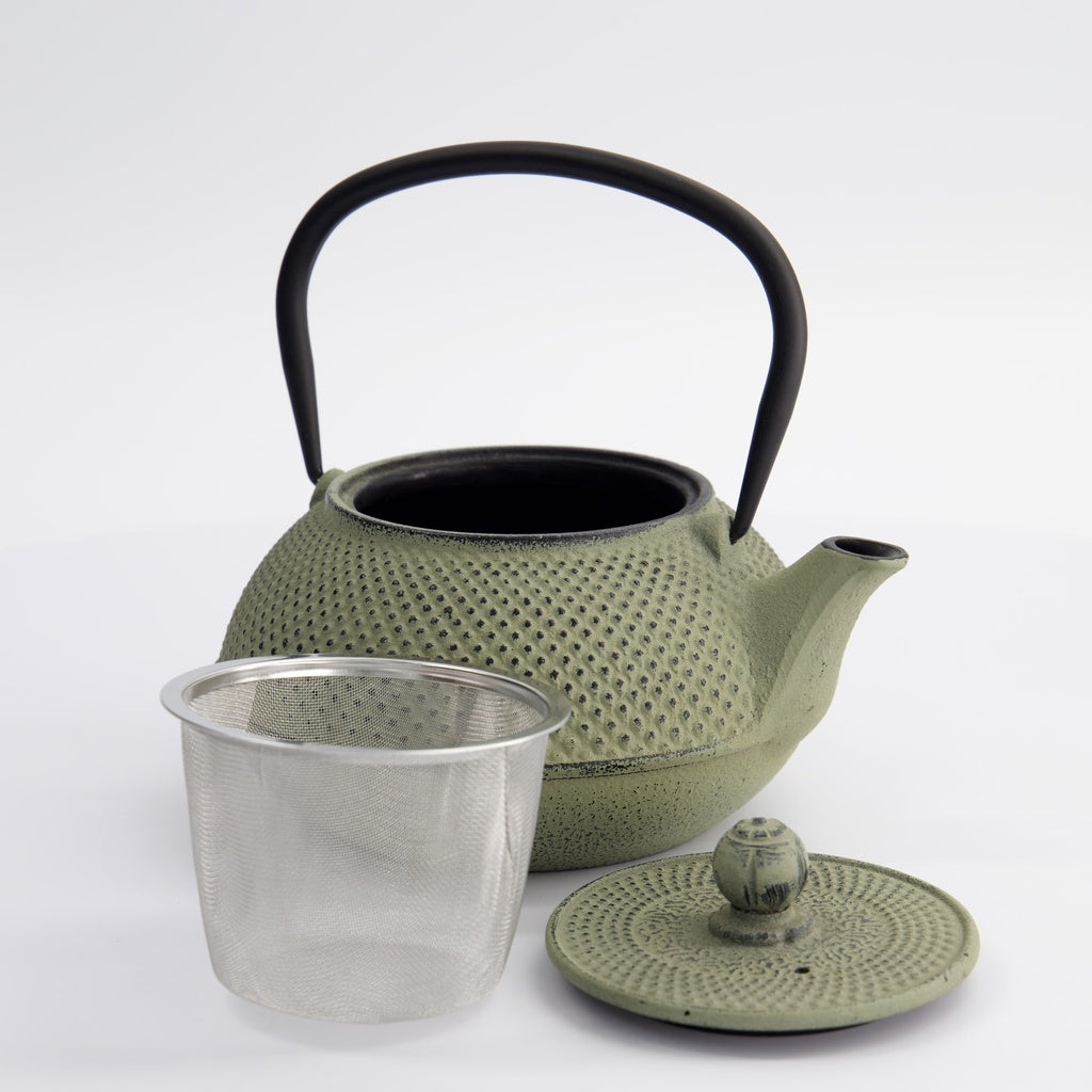 WY Tea Kettle Iron 17.5x15x10cm Arare 0.8L GREEN