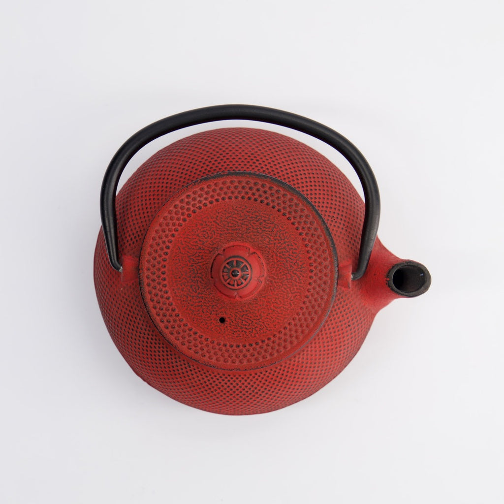 WY Tea Kettle Iron 17.5x15x10cm Arare 0.8L RED