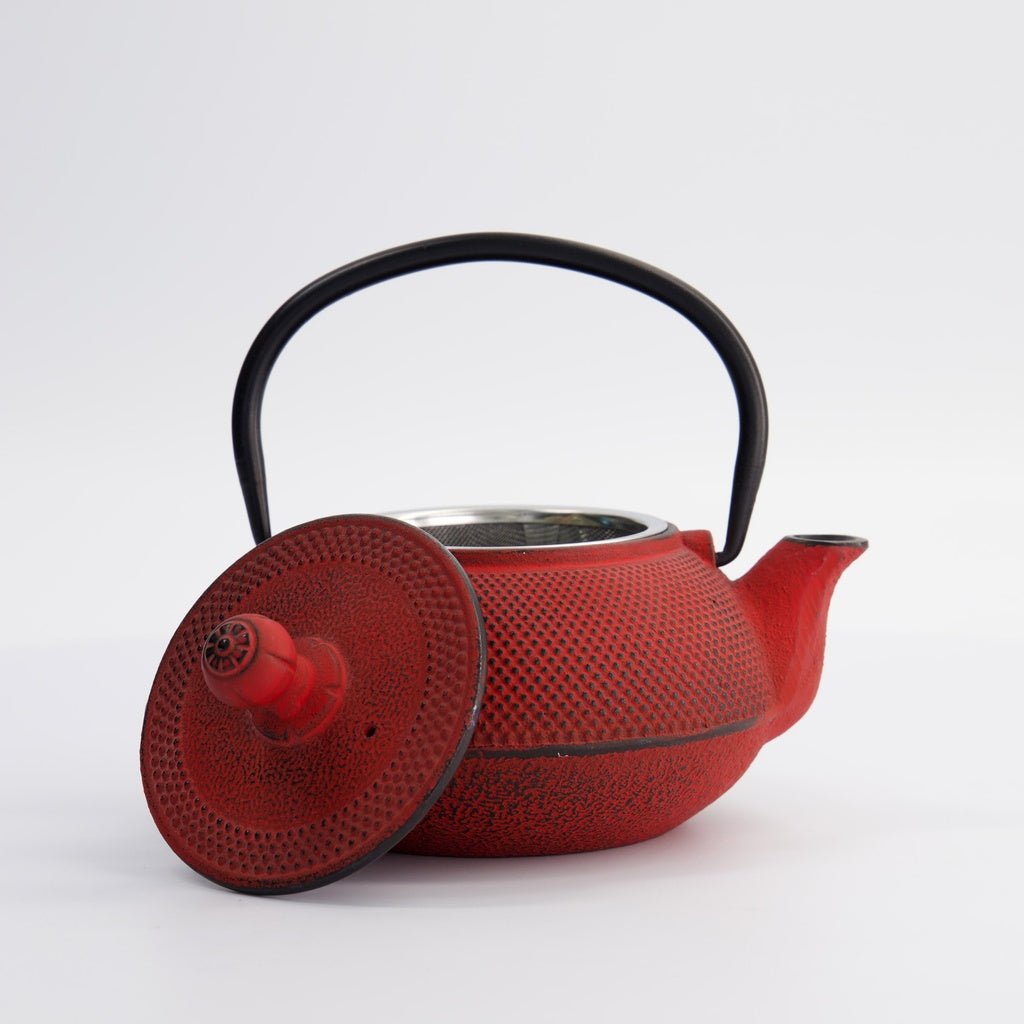 WY Tea Kettle Iron Arara