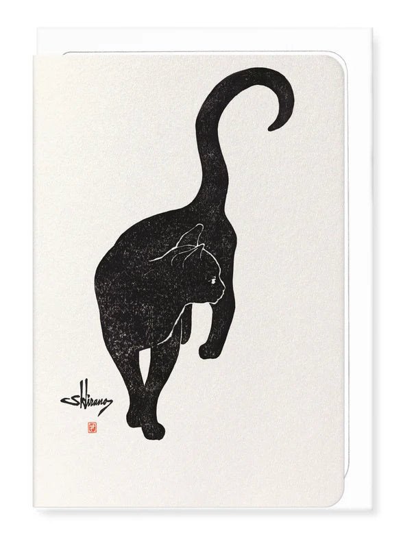 Cat NO.2