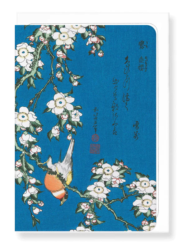 Bullfinch and Drooping Cherry