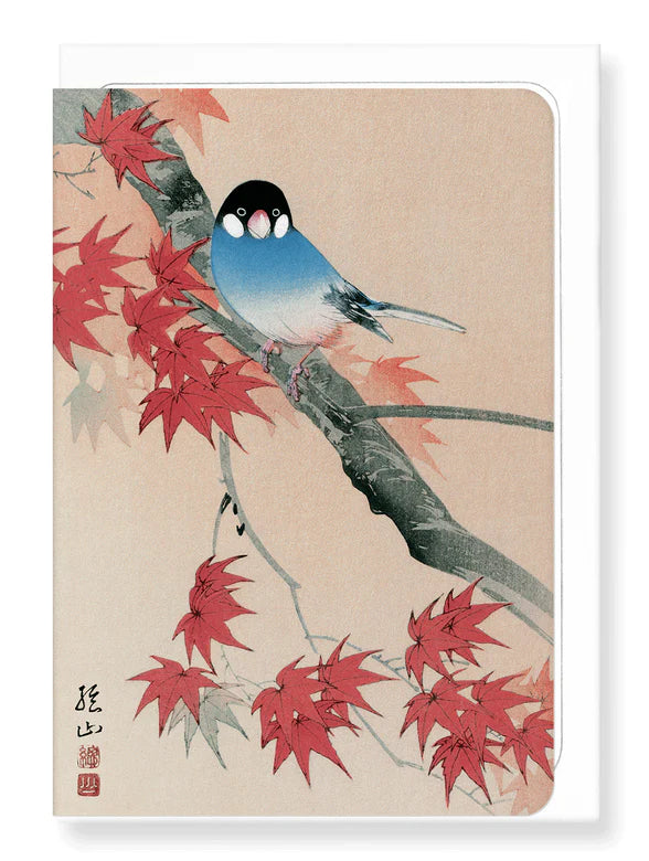 Java Finch in The Autumn