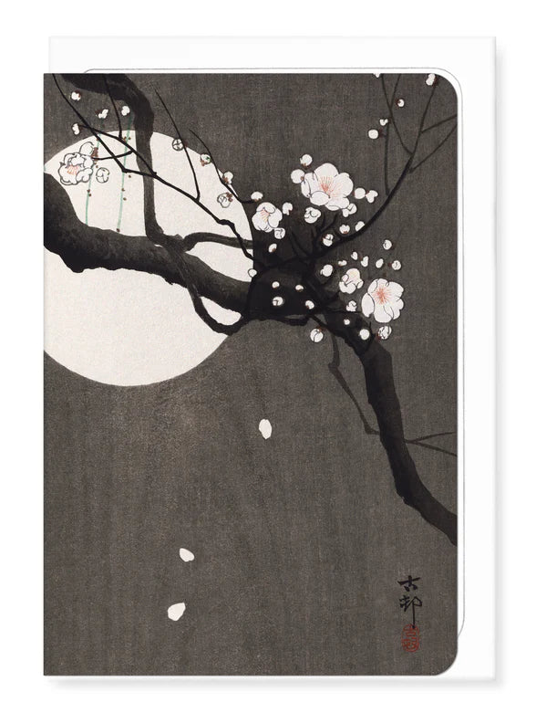 Plum Blossom and Full Moon