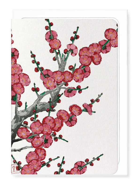 Red Plum Blossom (1953)