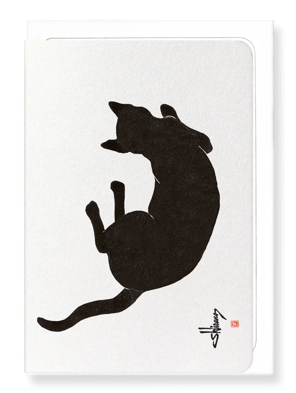 Cat NO.8