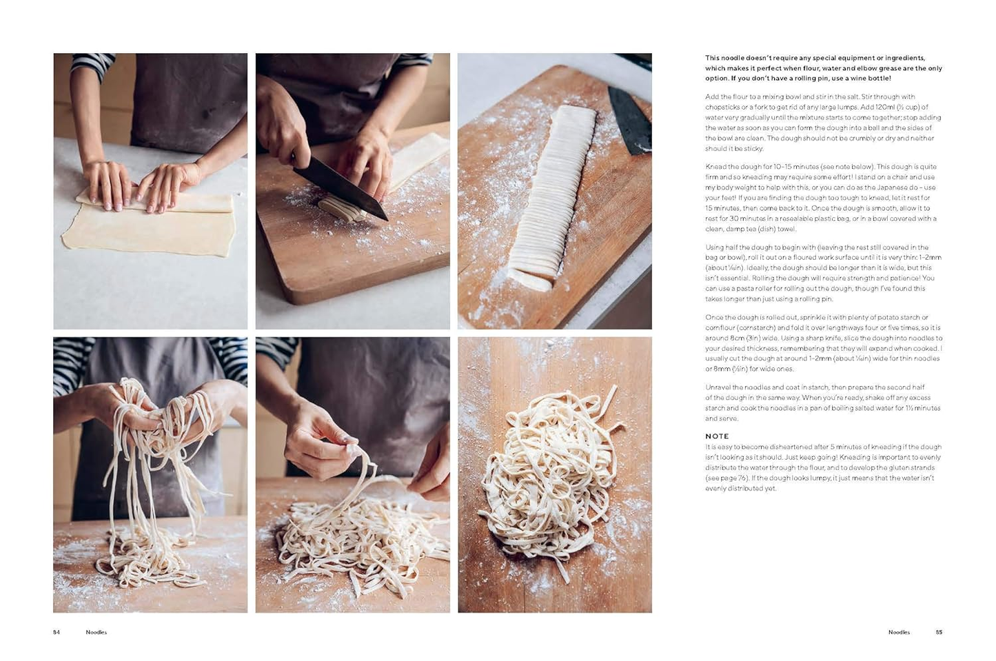 Dumplings and Noodles: Bao, Gyoza, Biang Biang, Ramen – and Everything in Between Hardcover