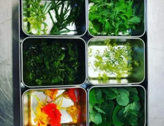 The Ultimate and Original Condiment Box from Japan