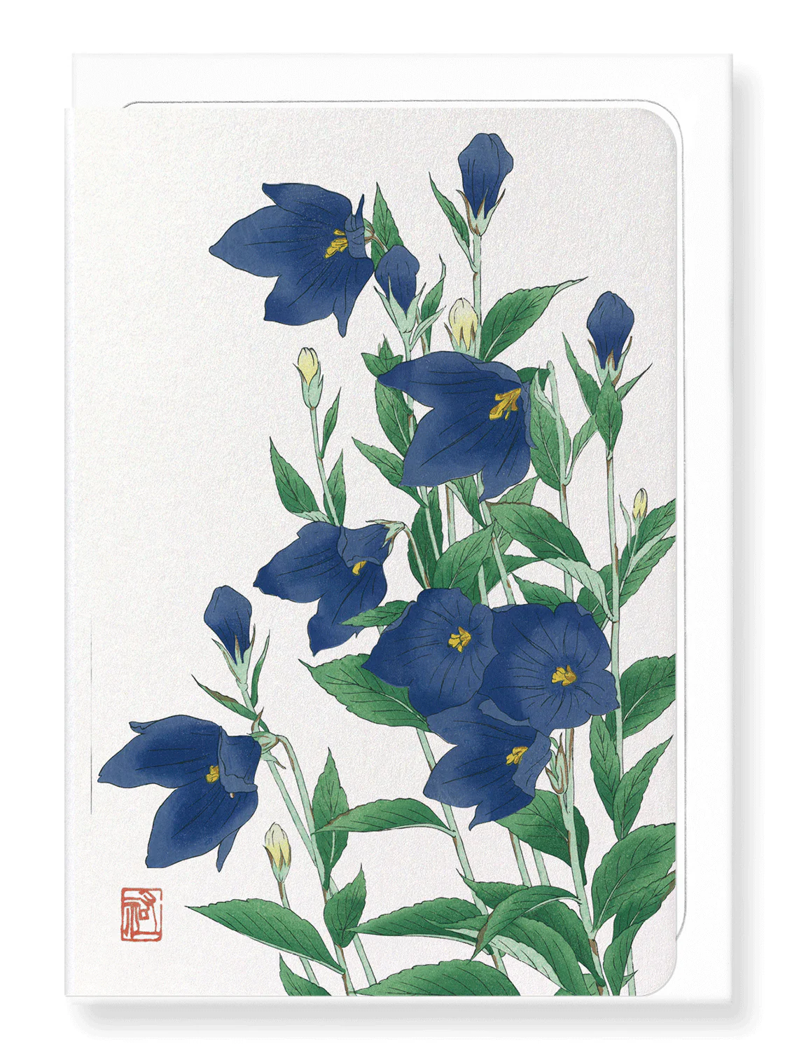 Bluebell Flower Greeting Card