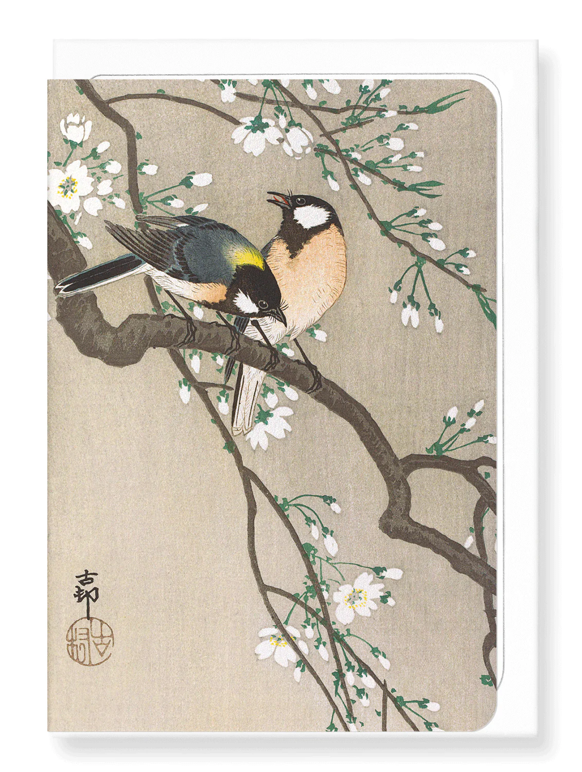 Tit Birds on Cherry Branch Greeting Card
