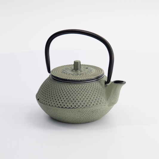 WY Tea Kettle Iron 13.5x11.5x8.5cm Arare 0.35L GREEN