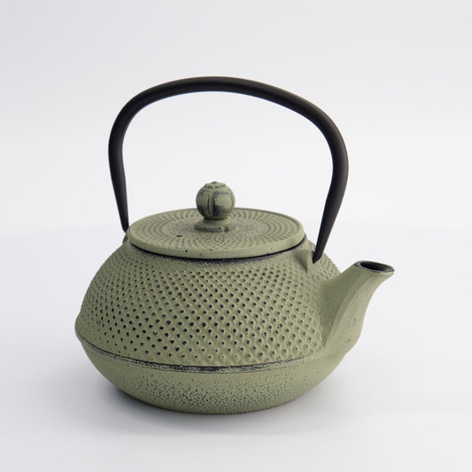WY Tea Kettle Iron 17.5x15x10cm Arare 0.8L GREEN